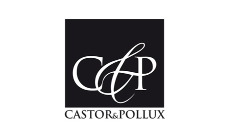 1Merkmal Agentur für Namensentwicklung Castor Pollux
